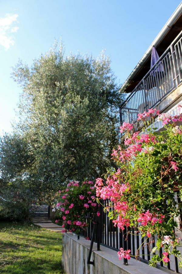 Turkovic Apartments Zgaljic Exterior foto